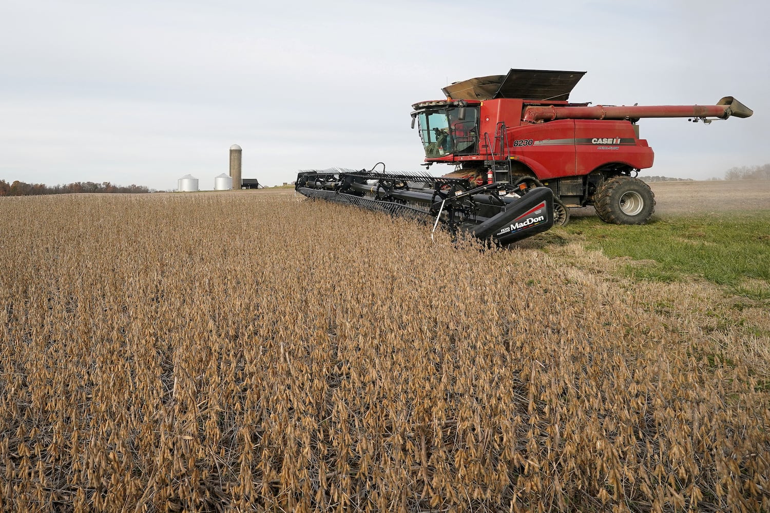 La soja se cosecha en un campo de Hodgen Farm en Roachdale, Indiana. (Reuters/Bryan Woolston)