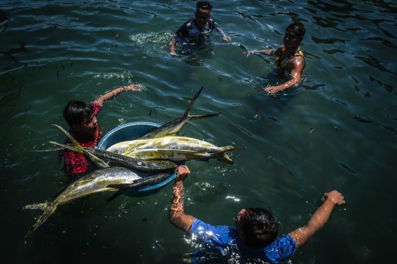 Fishermen unload their catch from the South China Sea waters within the Philippines' jurisdiction, some of it from the vicinity of Scarborough Shoal, in the village of Cato in Infanta town, Pangasinan province, north of Manila, April 21, 2022. Jojo Riñoza/BenarNews