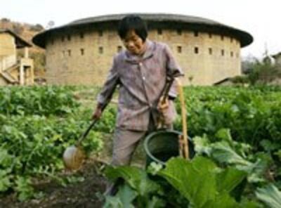 farmer_Fujian-200.jpg