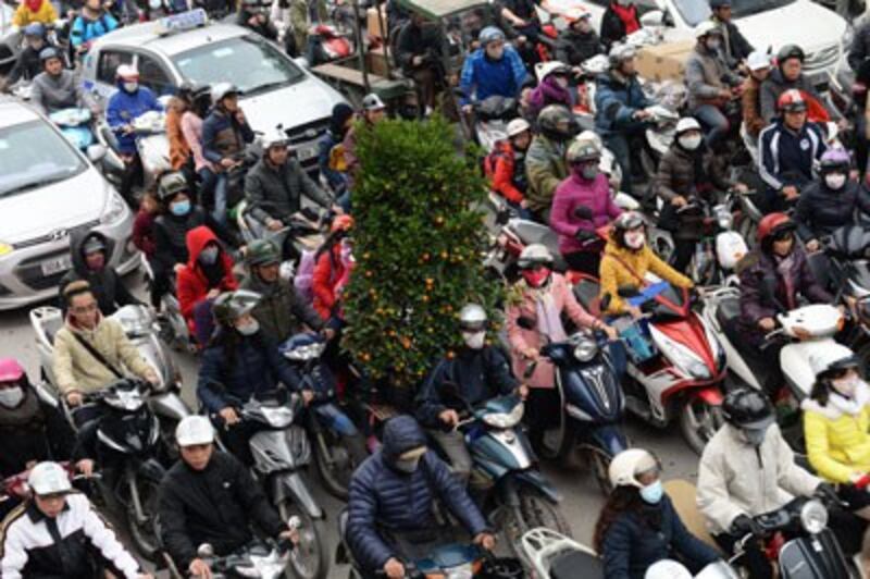 Người Hà Nội mua tắc chưng Tết len lỏi trong dòng giao thông giờ cao điểm hôm 29/1/2016. AFP photo