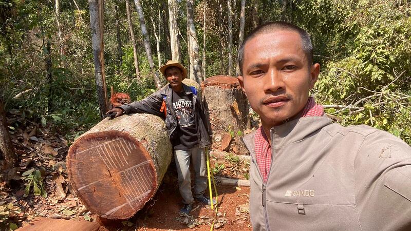 Logging_crime_in_Preylang_Preah_Vihear_020425_Ma_Chetra_៤.jpg