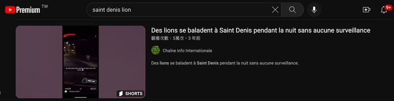 Search results showed that a video purportedly showing lions released during the recent riots across France was posted on YouTube three years ago. Credit: screenshot taken from YouTube