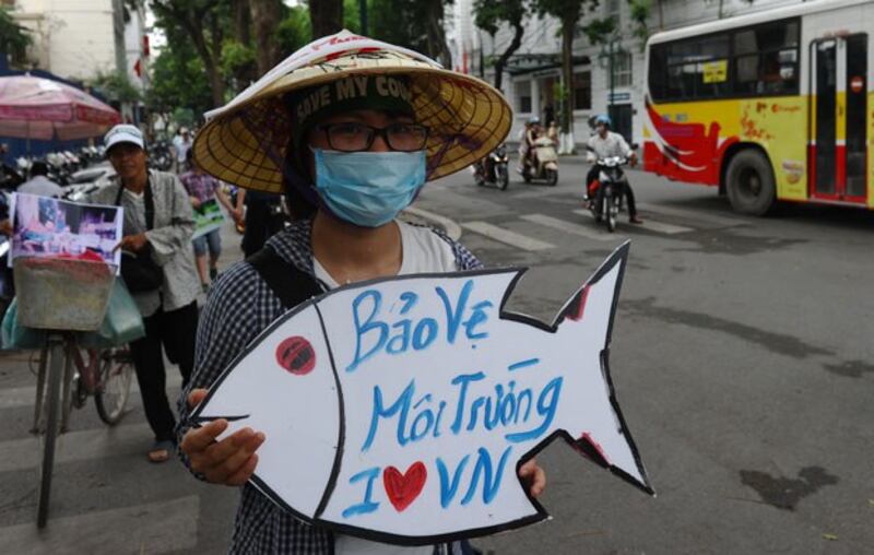 Một bạn trẻ Hà Nội biểu tình kêu gọi bảo vệ môi trường biển ngày 01 tháng 5 năm 2016.