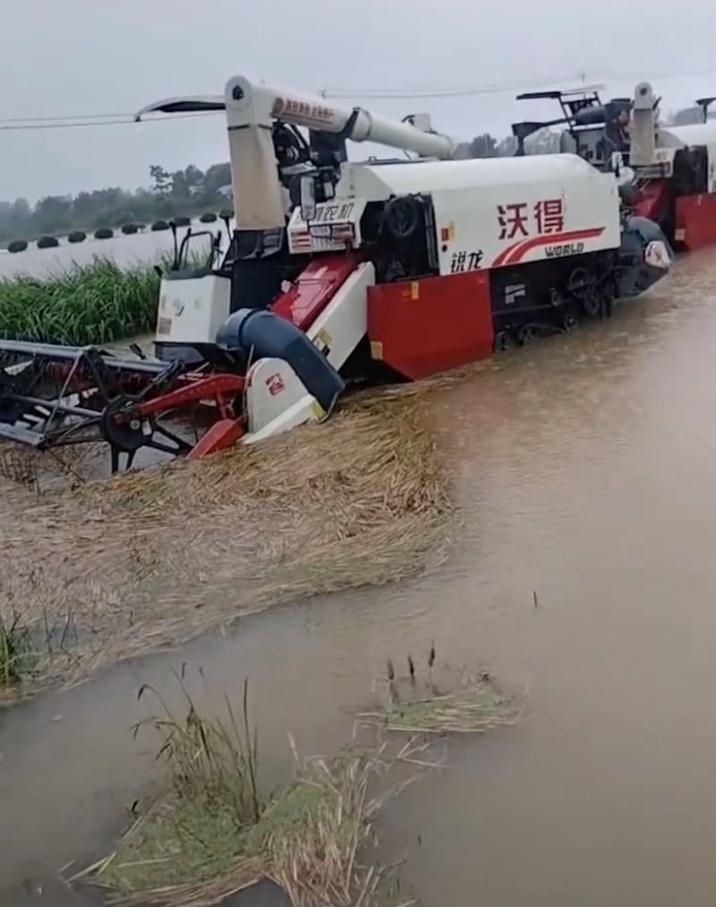 河南南部连续六天降雨，图为收割机泡在水中，成熟的麦子很快就会发芽。（网络截图/古亭提供）