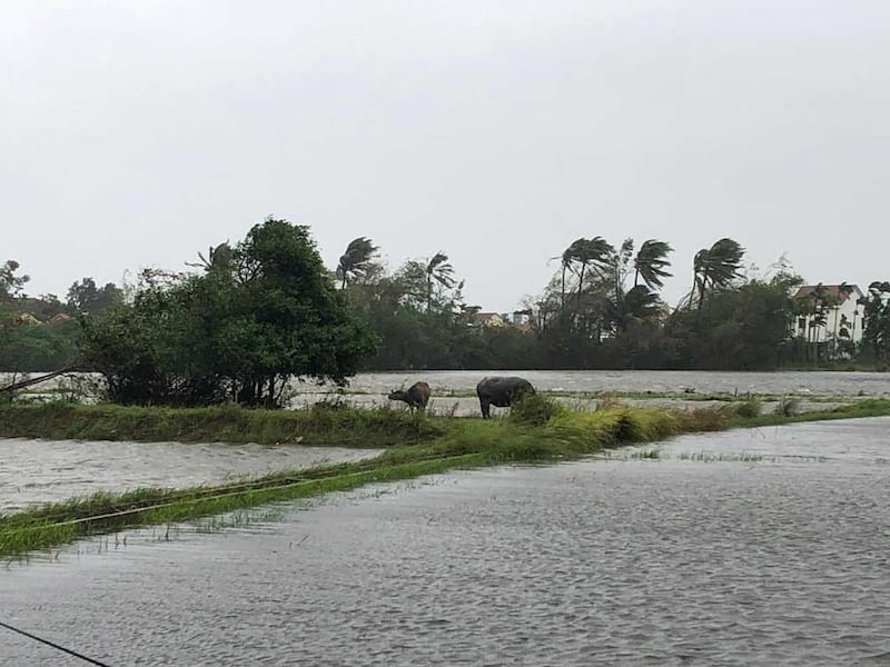 Day2_Vietnam_Typhoon_003.jpg