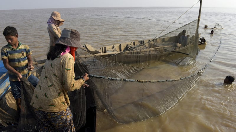 Villagers pull up a fishing net on the Tonle Sap Lake in Siem Reap, in a file photo.