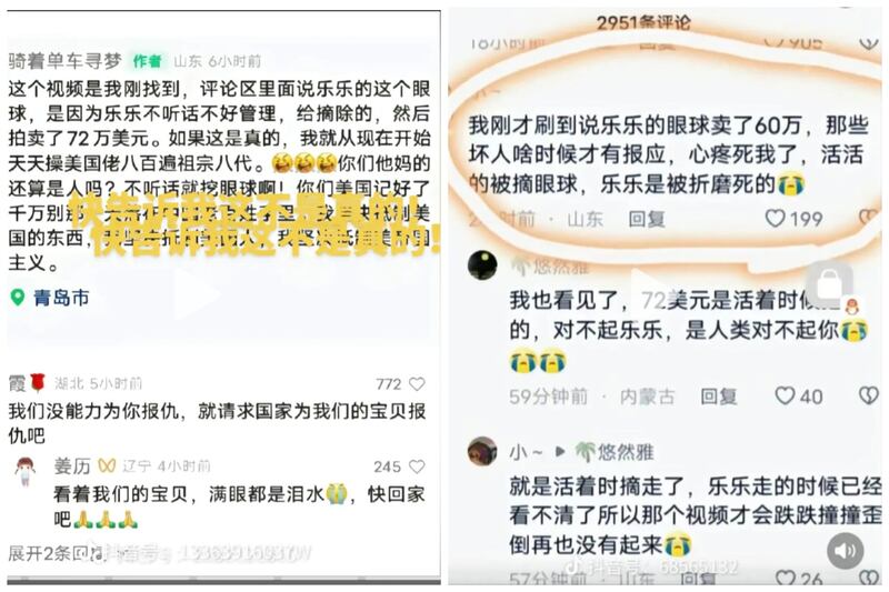 网传"挖眼变卖"指控截图