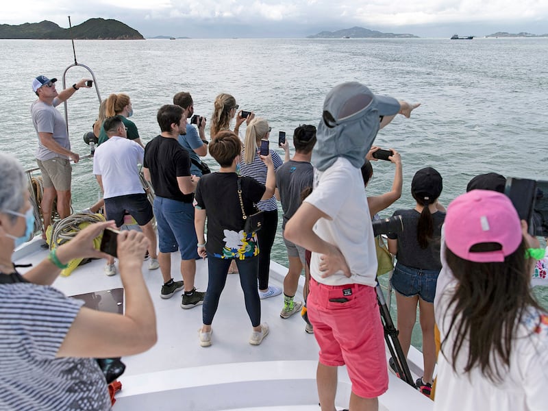 People take a commercial tour boat to look for 'pink dolphins' in the waters off the coast of Hong Kong, Sept. 20, 2020.