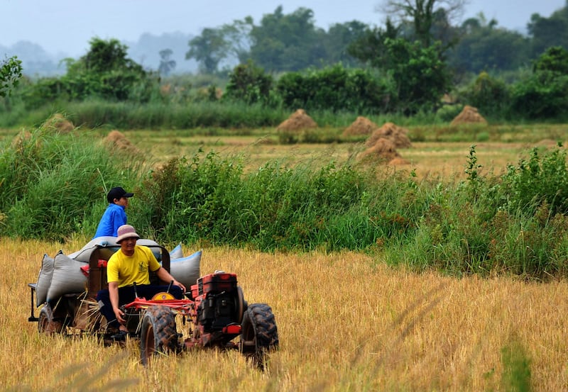 A farmer and his son harvest their rice field on a Chinese made tractor, Oct. 13, 2009, in Muang Sing, northern Laos. (Voishmel/AFP)