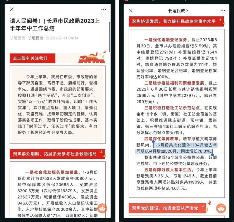 （网页截图/胡平提供）