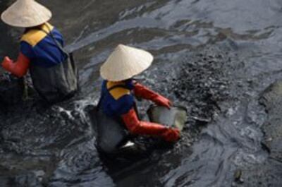 Công nhân vệ sinh môi trường đang làm sạch một con kênh ở Hà Nội hôm 23/11/2012. AFP photo