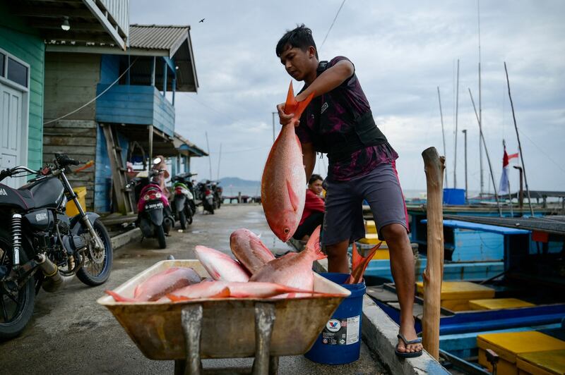 A fisherman unloads his catch from his boat at Baruk Bay port, at Sepempang village on Natuna island, in Indonesia's Riau Islands province Sept. 23, 2023. (Bay Ismoyo/AFP)