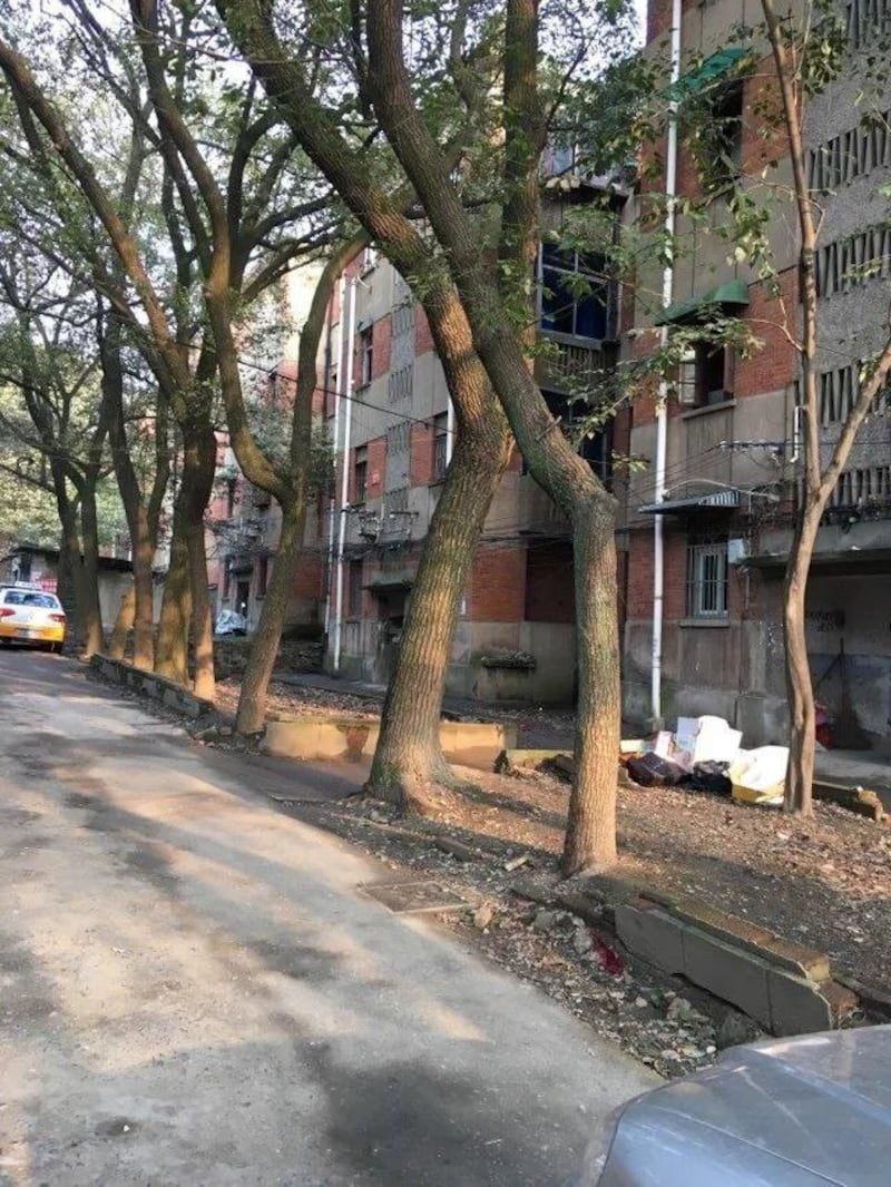 皮晓雯说小时居住在安徽芜湖市鸠江区四合山1栋楼21号。(皮晓雯提供)