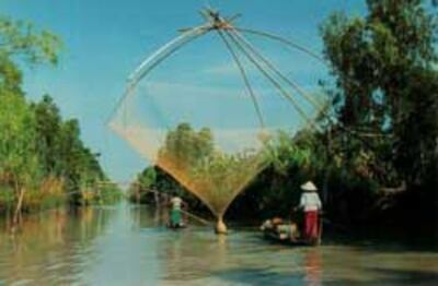 Nước mặn vào sâu trong các sông nhánh ở tỉnh Bến Tre. Photo courtesy of vfej.vn