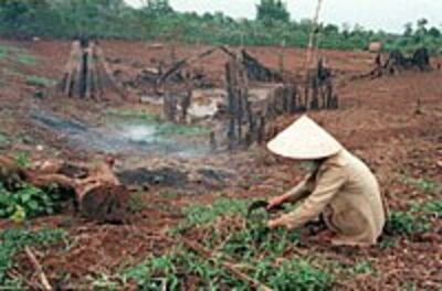 VietnamDrought200.jpg