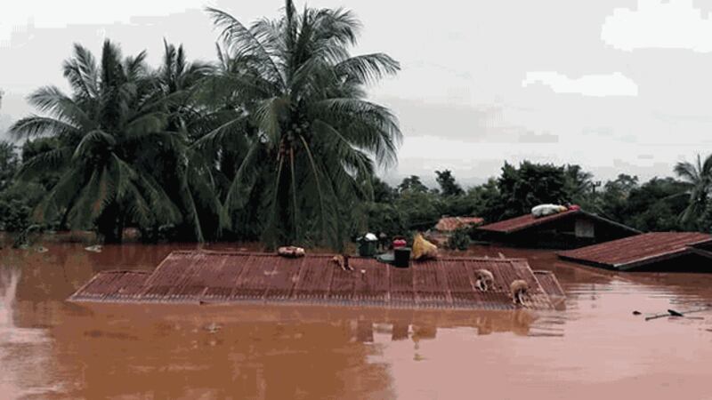 Dogs take refuge on a rooftop above floodwaters from a collapsed dam in southern Laos' Attapeu province, July 24, 2018. Credit: Associated Press