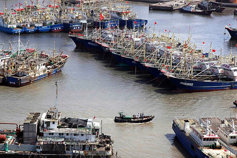 A file photo showing Chinese fishing boats docked in Jiaoshan fishing port in Wenling city in eastern China's Zhejiang province on July 12 2013. Credit: AP.