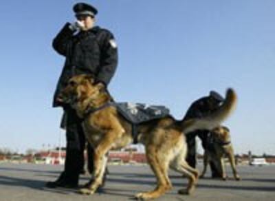 CHINA-NPC-POLICE-DOGS-200.jpg