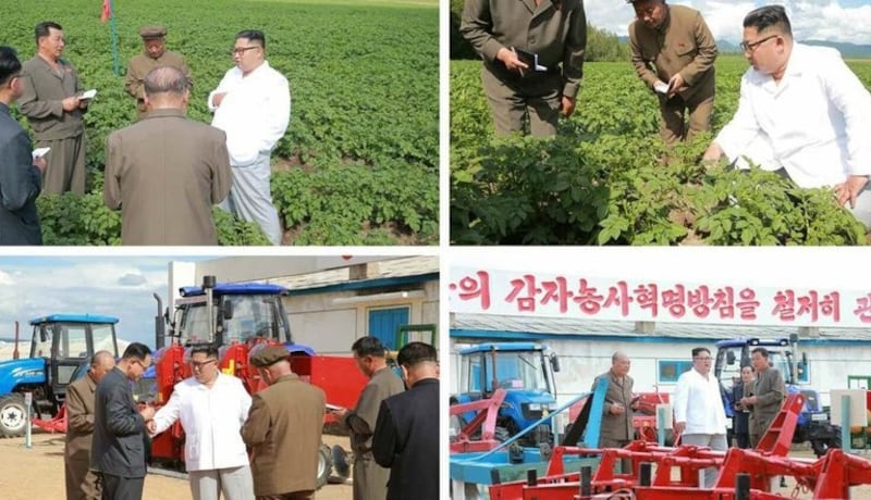 NORTH-KOREA-POTATO-FARM-KIM-JONG-UN-INSPECTION 03.jpeg