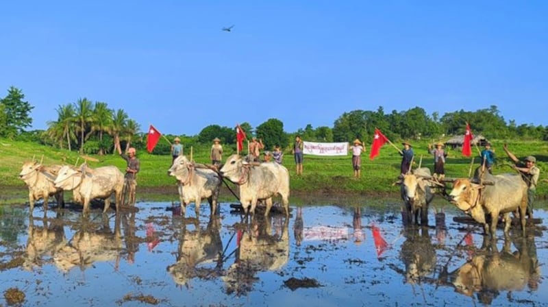 Farmers from Khin-U township stage an outlawed plowing protest against the Myanmar junta in northwestern Myanmar's Sagaing region, Aug. 29, 2023. Credit: Khin-U township True News Information