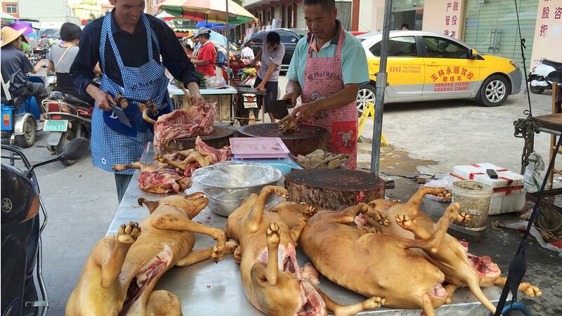 中国人戒不了吃狗肉，市场公然屠宰、贩售狗只，这些地方也成了疫病温床。（美联社）