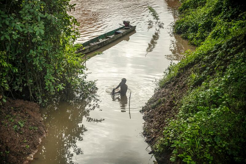 A local fisher recovers fishing nets while catching river fishes in the Mekong River by the forest on Aug. 25, 2022 in Si Phan Don, Laos. (Sirachai Arunrugstichai/Getty Images)