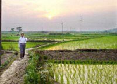 CHINA-ANHUI-FARMER-200.jpg