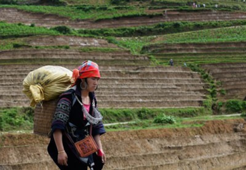 Người H'mong ở Lào Cai, Việt Nam, ảnh minh họa chụp trước đây. AFP PHOTO.