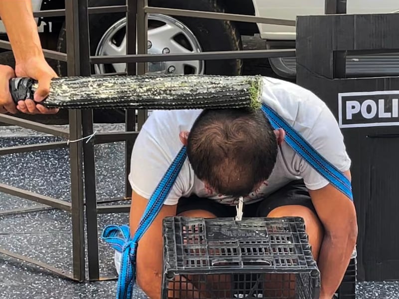 U.S.-based former forced psychiatric inmate Jie Lijian demonstrates torture he underwent in a Chinese psychiatric hospital, during a street display in Hollywood, California, Oct. 9, 2022.