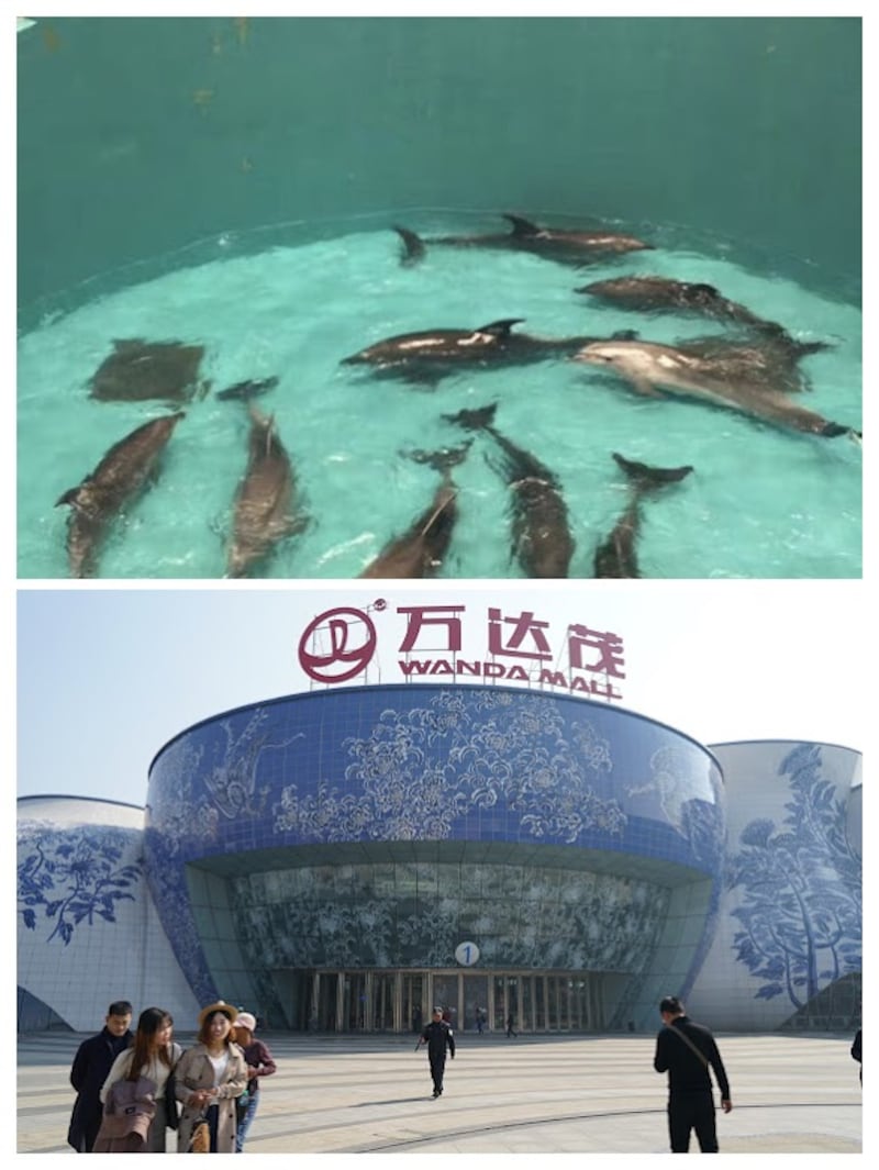 南昌万达茂集合商场和水族馆于一地，这类复合式水族馆往往存在配套设施不足情形。