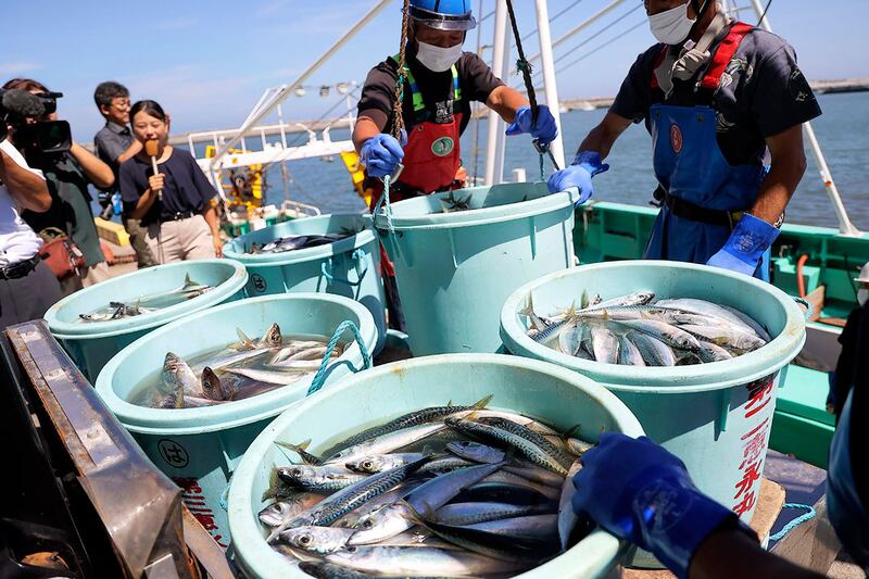 2023年9月1日，在日本开始排放福岛第一核电站处理过的废水一周后，福岛县相马市松川浦港的渔业工人在卸载外海捕捞的海鲜。（法新社）