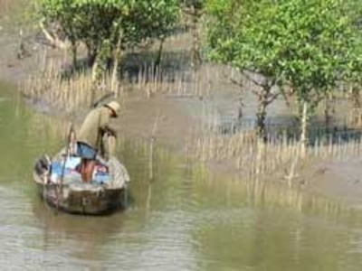 Mặn đã xâm nhập sâu vào Đồng bằng sông Cửu Long. Photo courtesy of vfej.vn