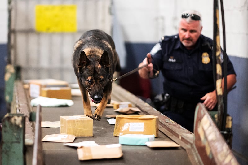 A Customs and Border Protection, Trade and Cargo Division officer works with a dog to check parcels for fentanyl at the John F. Kennedy Airport's U.S. Postal Service facility on June 24, 2019 in New York.