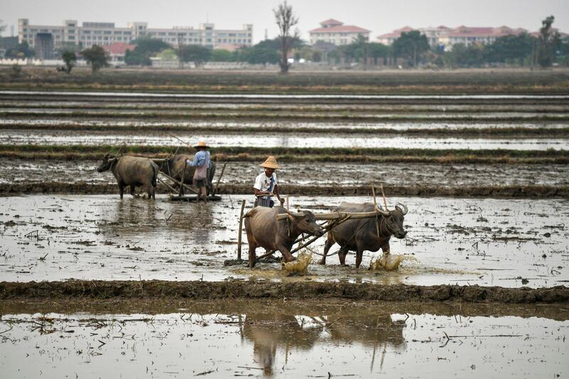 ENG_BUR_RICE SUBSIDY_0703204_1.jpg