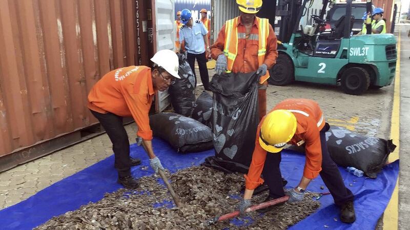 Officials sorting seized pangolin scales at a port in southern Vietnam's Ba Ria Vung Tau province, May 23, 2019.