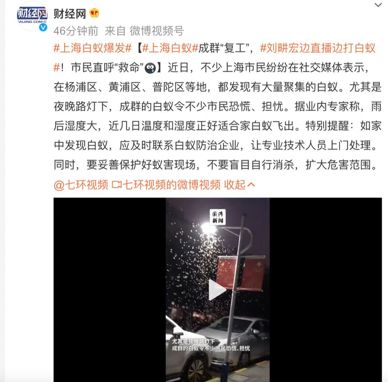 大陆媒体财经网微博发文称，上海白蚁成群复工。(截图自微博)