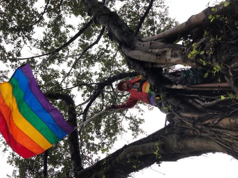 推动同性婚姻三十年祁家威在雨中爬树摇彩虹旗为同性恋朋友打气。（记者夏小华摄）