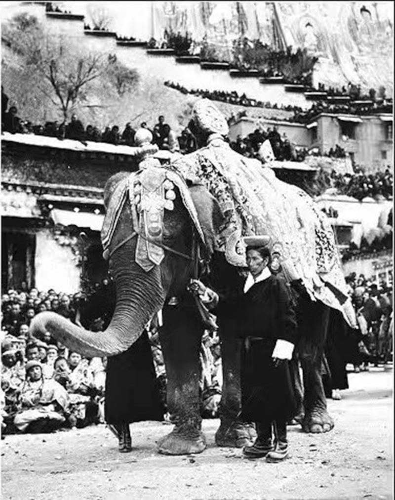 1950年代，大象在拉萨。（Public Domain）