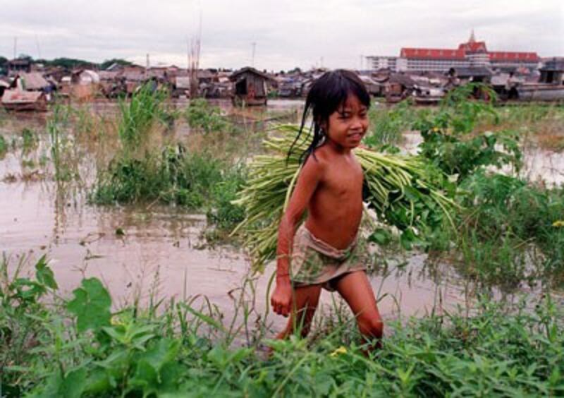 Một bé gái Việt Nam đi hái rau muống gần sông Tonle Sap, Phnom Penh. AFP photo