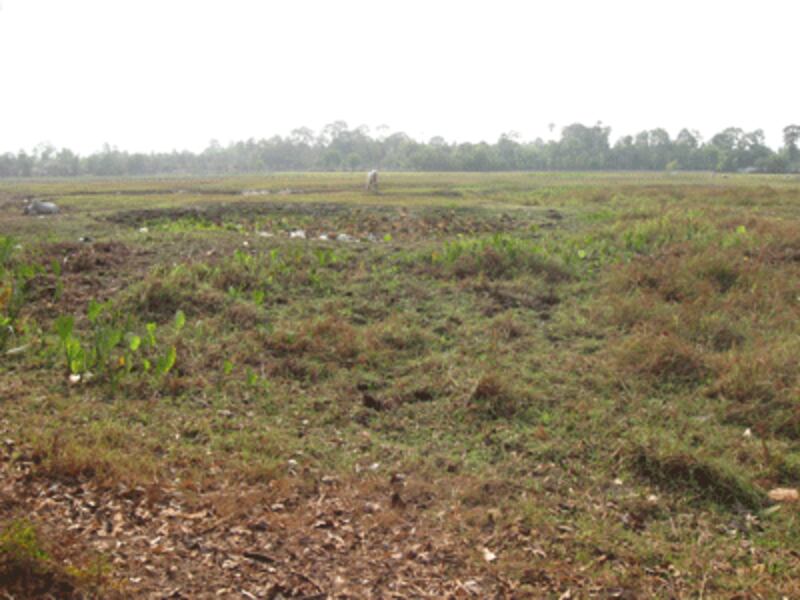 Part of the dried up pond (RFA Photo).