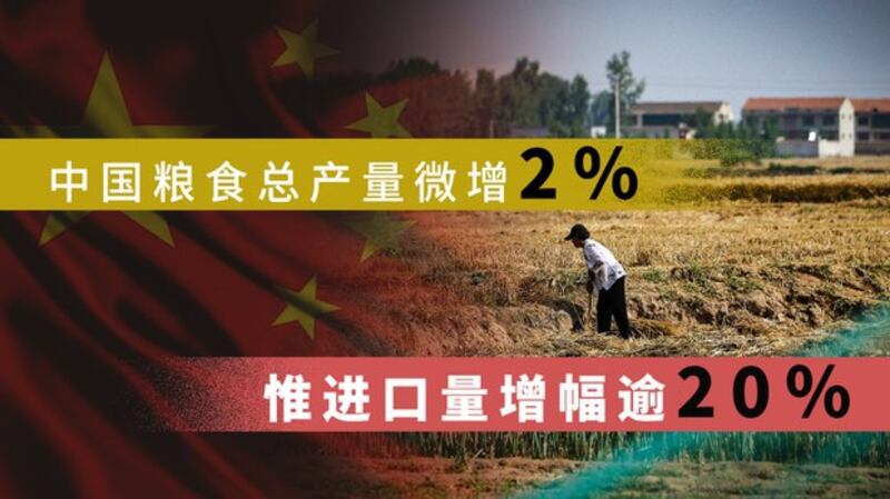 中国粮食总产量微增2% 但进口量增幅逾20%（自由亚洲电台制图）