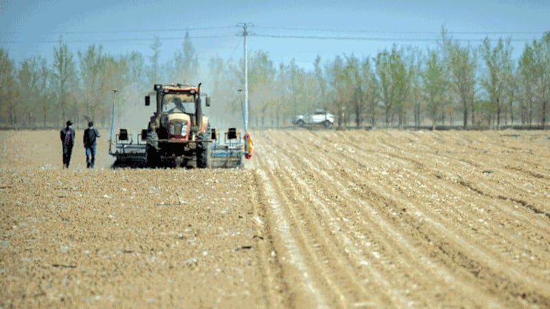 Workers walk next to a tractor during the planting of a cotton field, as seen during a government organized trip for foreign journalists, near Urumqi in northwestern China's Xinjiang region, April 21, 2021. Credit: Associated Press