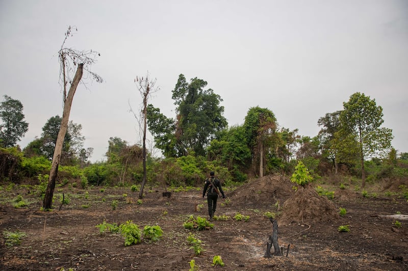 Ranger Patrol in Preah Vihear_ 7741.jpg