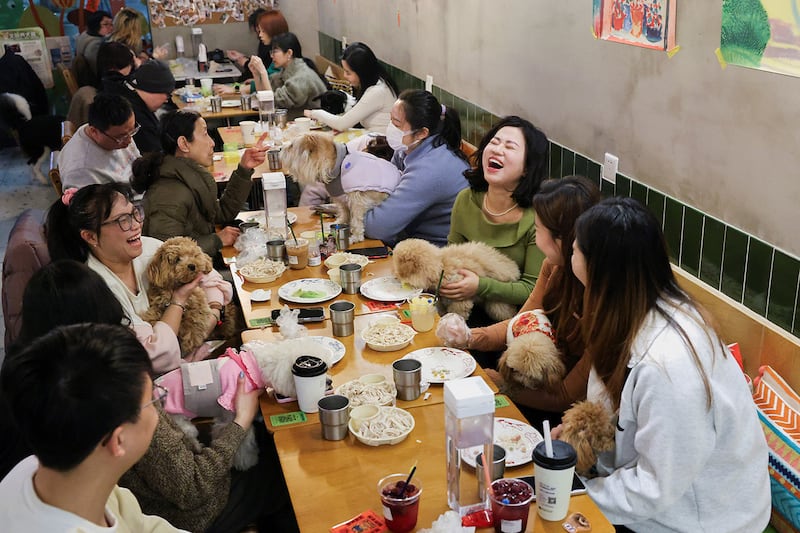 Dog owners treat their pets to a special Lunar New Year meal of shredded chicken and lettuce at Kong Shan Yunnan Bistro restaurant in Shanghai, China, Jan. 25, 2025.