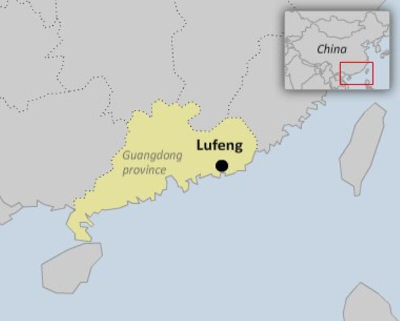 lufeng