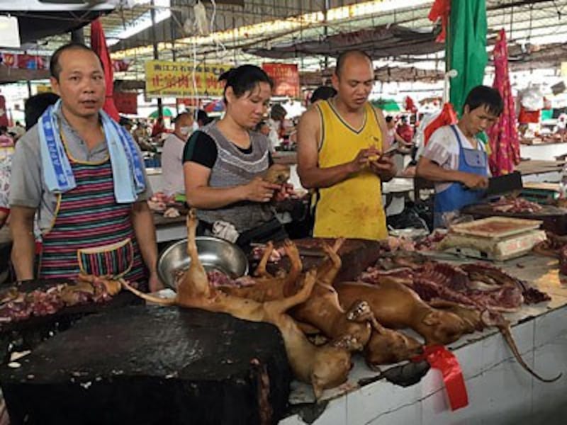 Chinese vendors stand behind a pile of dog meat at the Nanqiao market in Yulin, southern China's Guangxi region, June 21, 2017.