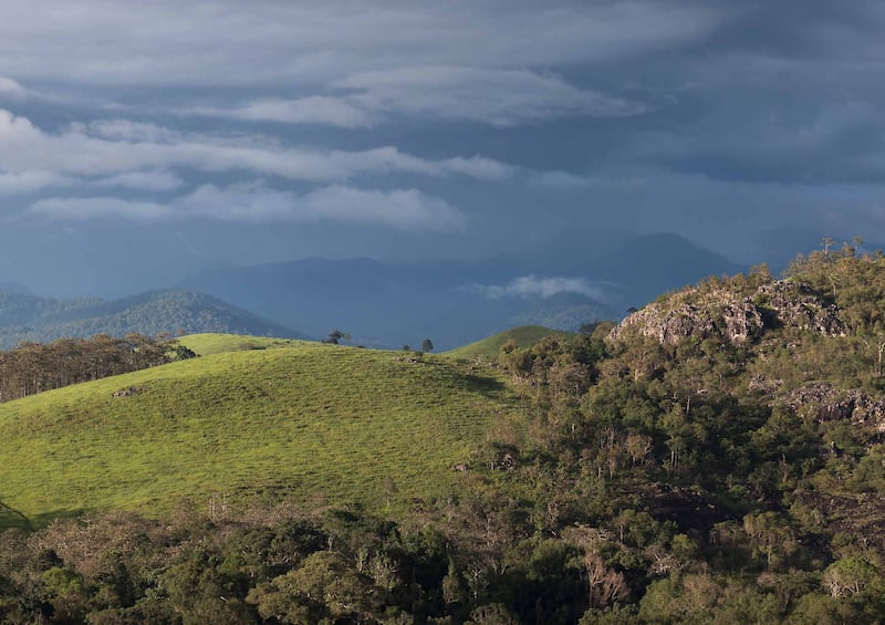 This undated photo shows grasslands and forest in Cambodia’s Virachey National Park.