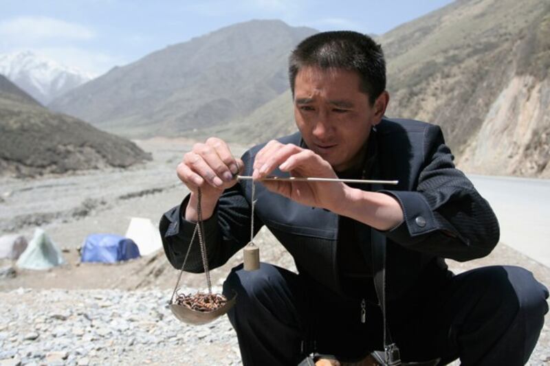 A buyer weighs a pile of caterpillar fungus on Laji Mountain in Guide county, western China's Qinghai province, in an undated photo. Credit: Reuters file photo