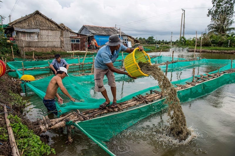 ENG_COMMENT_US-VIETNAM_08192024_002.JPG