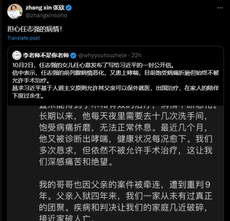 SOHO中国联合创始人张欣关注任志强的病情（张欣X截图）